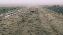 Ilustrasi Jalan. (Dok. Jan Tancar)