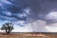 Angin kencang melanda tiga desa di Kabupaten Tana Tidung, Provinsi Kalimantan Utara. (Pexels.com/ Raychel Sanner)