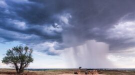 Angin kencang melanda tiga desa di Kabupaten Tana Tidung, Provinsi Kalimantan Utara. (Pexels.com/ Raychel Sanner)