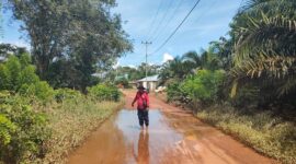 Total sebanyak 20.916 jiwa yang meliputi 6.603 keluarga tercatat turut terdampak banjir yang merendam enam kecamatan di Kabupaten Ketapang. (Dok, BNPB)