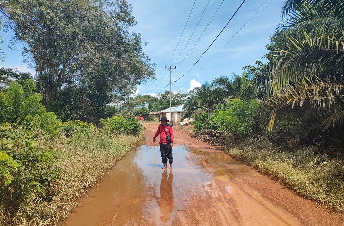 Total sebanyak 20.916 jiwa yang meliputi 6.603 keluarga tercatat turut terdampak banjir yang merendam enam kecamatan di Kabupaten Ketapang. (Dok, BNPB)