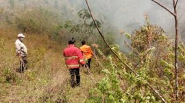Satgas Manggala Agni Kabupaten Toba memadamkan api yang membakar tujuh hektar lahan di Desa Pagar Batu, Kecamatan Balige, Kabupaten Toba. (Dok. BPBD Kabupaten Toba)