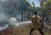 Personil BPBD Kabupaten Aceh Besar memadamkan kebakaran lahan di Kecamatan Lembah Seulawah. (BPBD Kabupaten Aceh Besar)