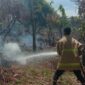 Personil BPBD Kabupaten Aceh Besar memadamkan kebakaran lahan di Kecamatan Lembah Seulawah. (BPBD Kabupaten Aceh Besar)