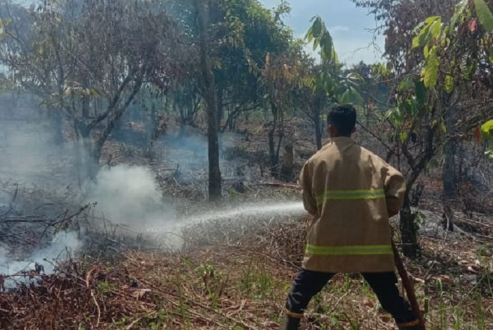 Personil BPBD Kabupaten Aceh Besar memadamkan kebakaran lahan di Kecamatan Lembah Seulawah. (BPBD Kabupaten Aceh Besar)